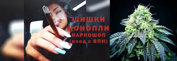 PSILOCYBIN Алексин