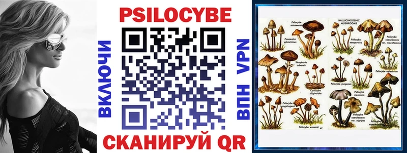 блэк спрут   Омск  Галлюциногенные грибы прущие грибы 
