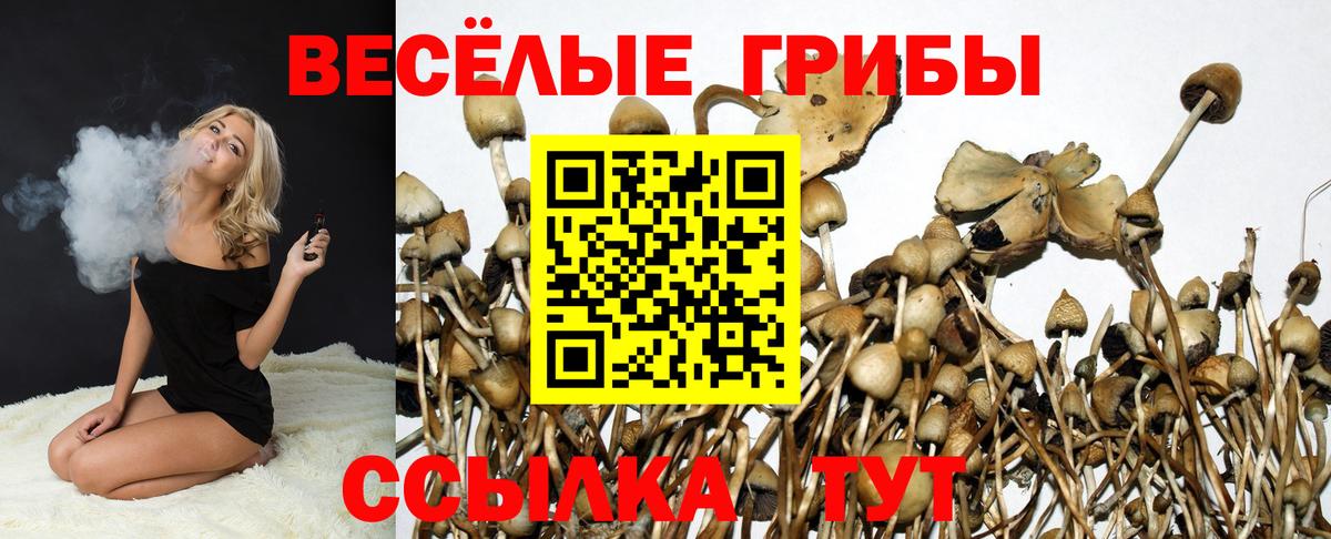 Псилоцибиновые грибы ЛСД Омск